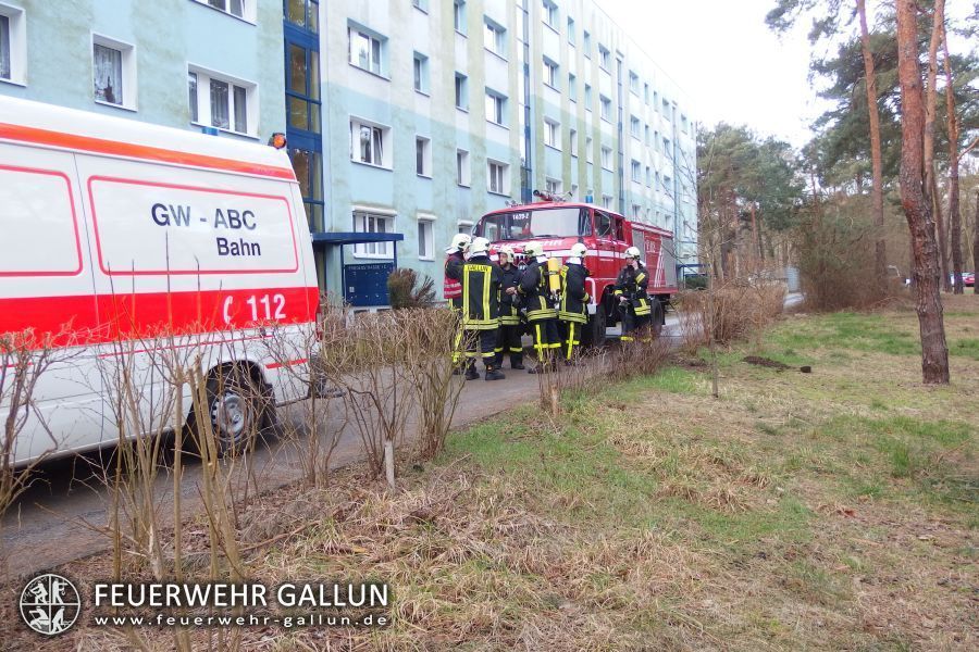 Einsatz 7-2015